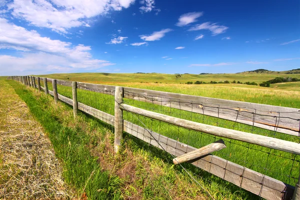 Prairie Fenceline Південна Дакота — стокове фото