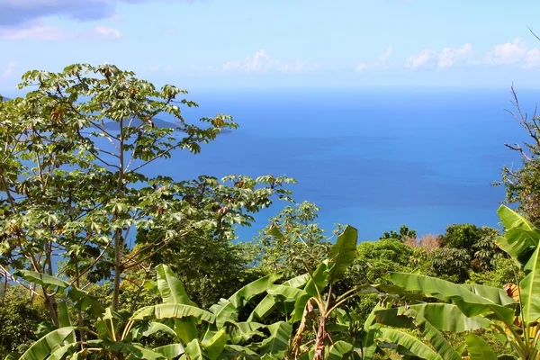 Tortola Ilhas virgens britânicas — Fotografia de Stock