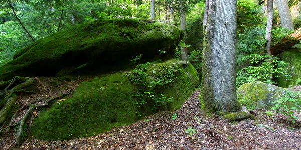 Piedra gigante - Alabama EE.UU. — Foto de Stock