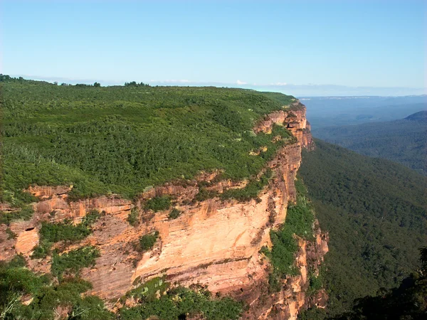 Blue mountains - Australië — Stockfoto