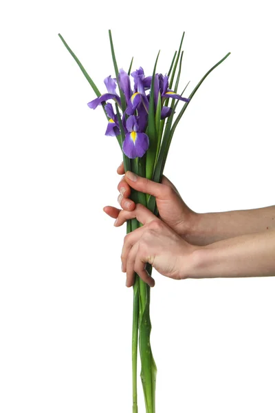 Hands and flowers — Stock Photo, Image