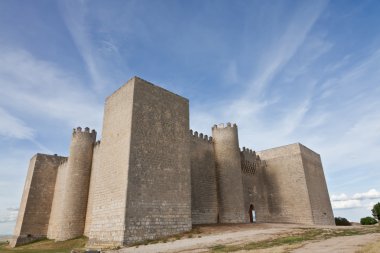 Castle of Montealegre clipart