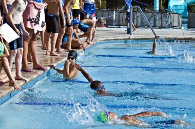 Swim Meet Competition clipart