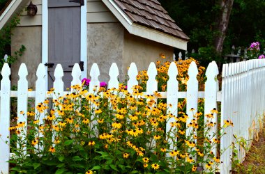 Small Garden clipart