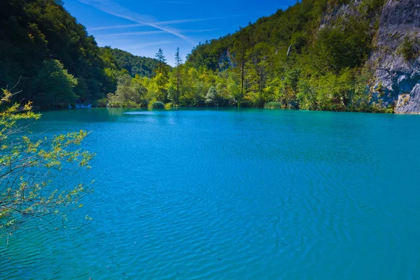 Lac bleu — Photo