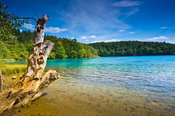 stock image Seaside