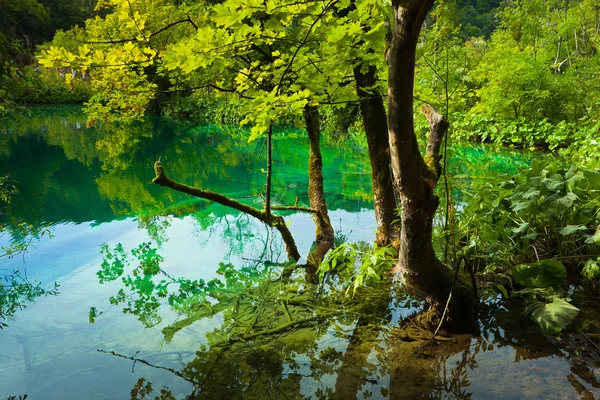Şelale ve göl — Stok fotoğraf