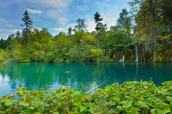 stock image Waterfall and lake