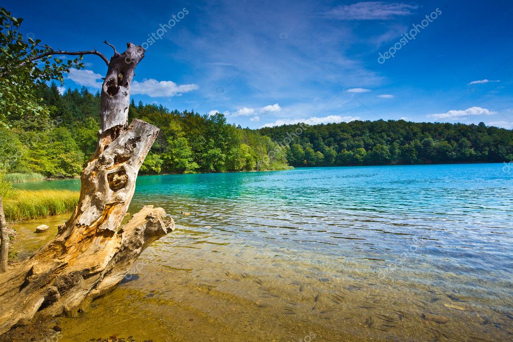 Waterfall and lake Stock Photo by ©Mironovfoto 11046830