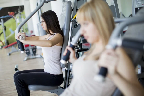 Girls in the gym — Stock Photo, Image