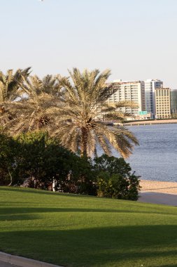 Dubai Creek Parkı