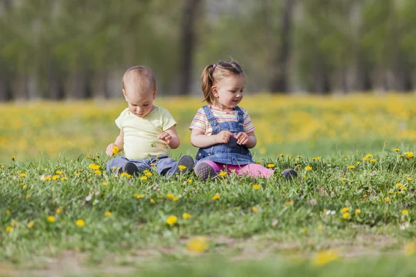 Kids in the field — Stock Photo, Image