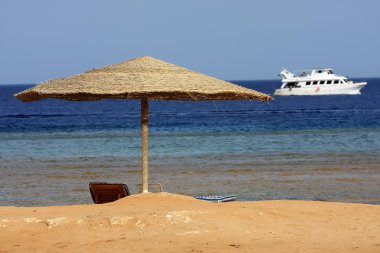 Mısır beach