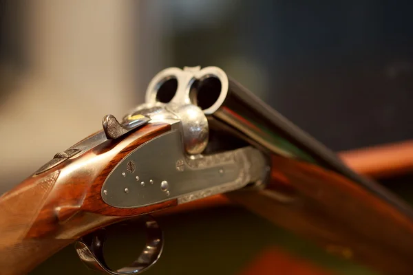 Порожній гвинтівка — стокове фото