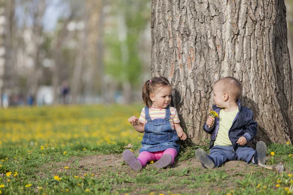 공원에서 아이 들 — 스톡 사진
