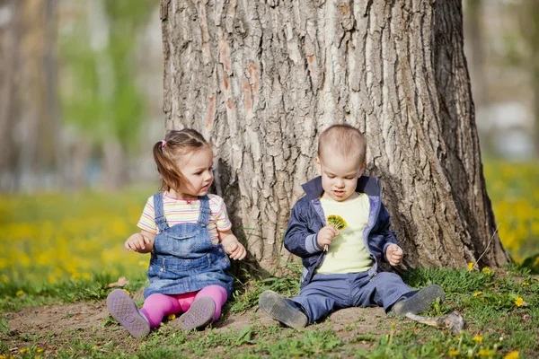 Kids in the forest — Stock Photo, Image