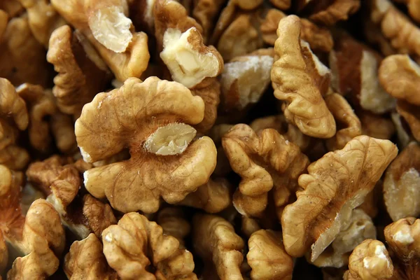 Hromadu ořechů — Stock fotografie