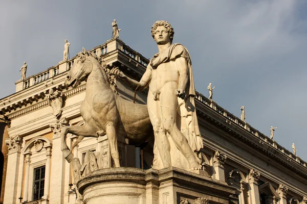 Staty av castor med en häst på Capitolium hill i Rom — Stockfoto