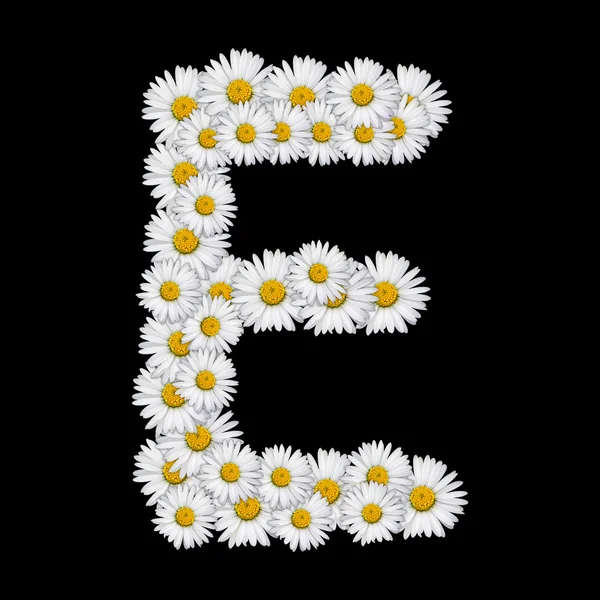 Carta floral — Fotografia de Stock