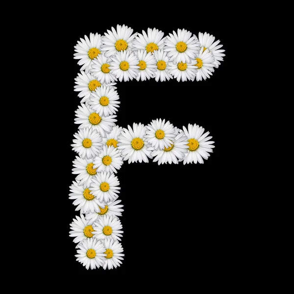 stock image Floral letter