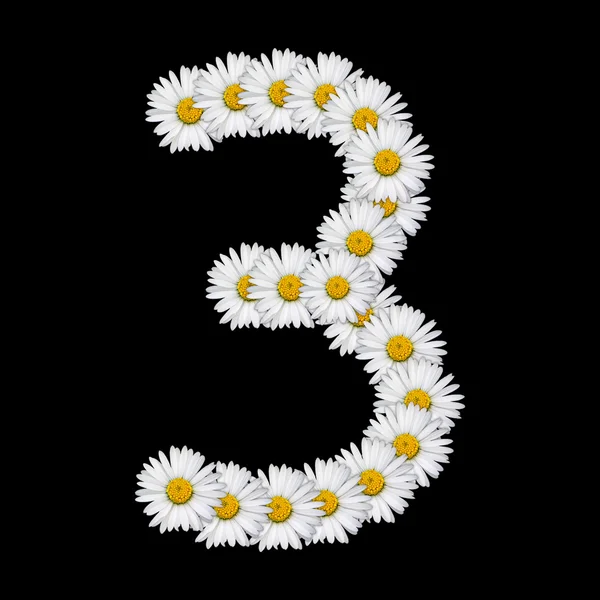 Número de flor — Foto de Stock