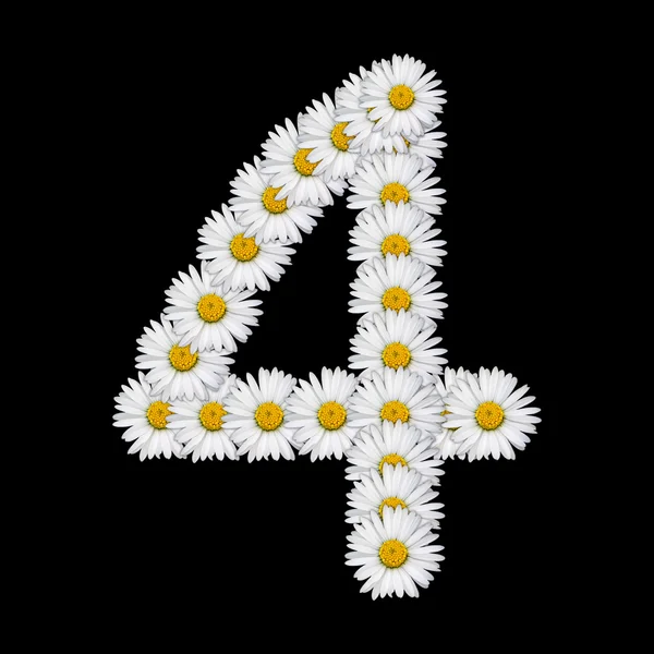 Çiçek numarası — Stok fotoğraf