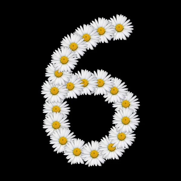 Número da flor — Fotografia de Stock