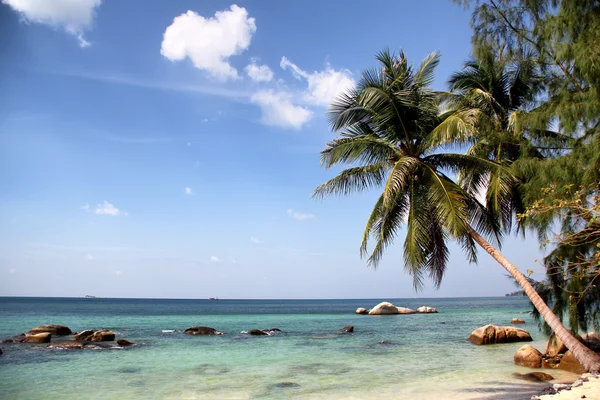 Plaja tropicală — Fotografie, imagine de stoc