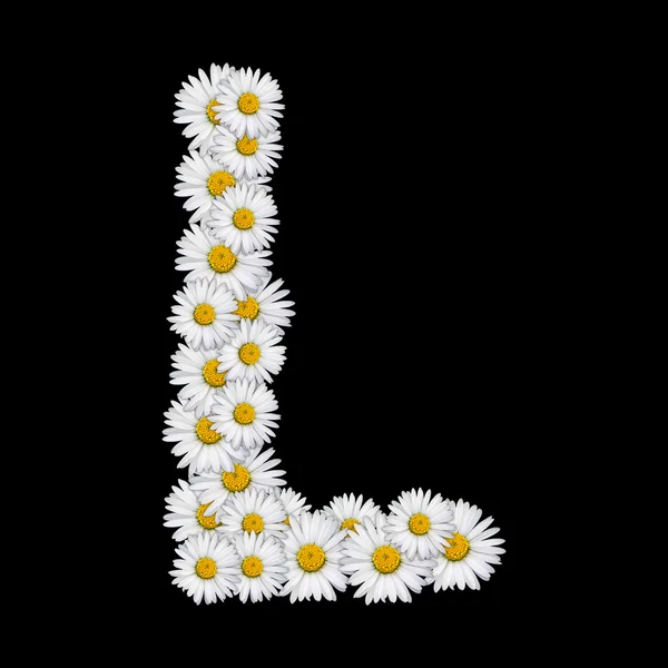 Květina dopis — Stock fotografie