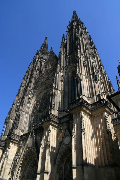 Katedrála svatého Víta, Praha — Stock fotografie