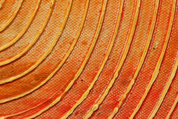 오렌지 모양 — 스톡 사진