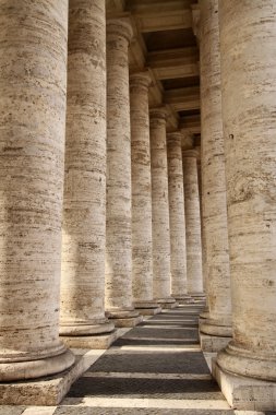 Colonnade in Piazza San Pietro clipart