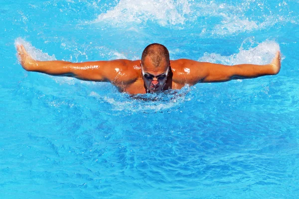 Entrenamiento activo de natación Fotos de stock
