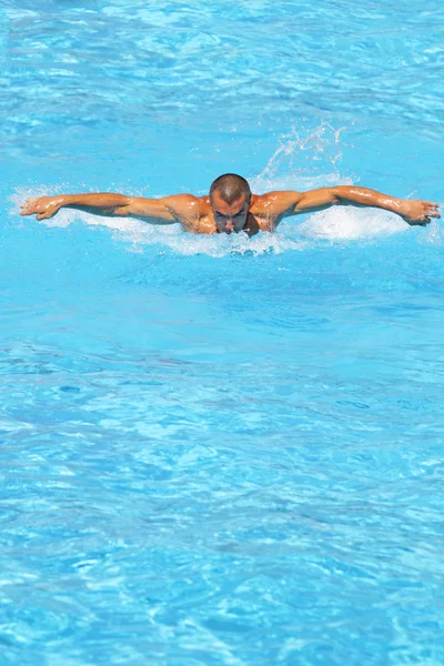 Entraînement de natation dure — Photo