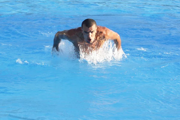 Nadador em treinamento — Fotografia de Stock