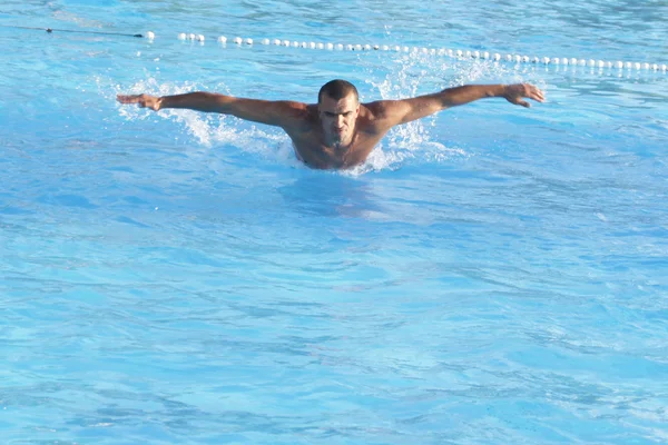 수영 훈련 — 스톡 사진