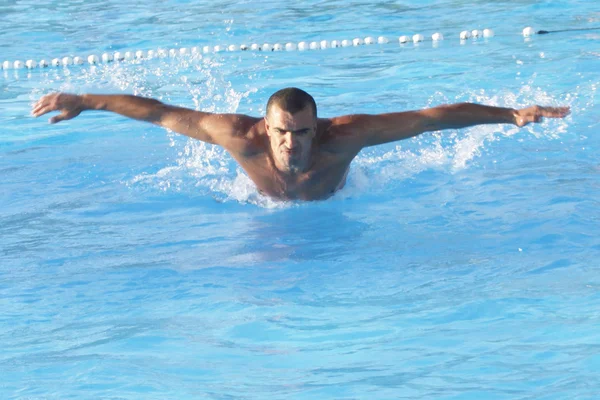 Nadador en entrenamiento —  Fotos de Stock