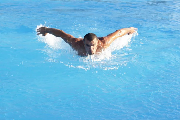 Nuotatore in formazione — Foto Stock