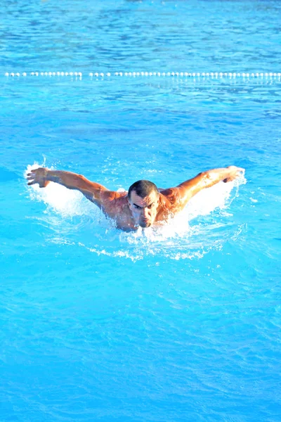 Nadador — Foto de Stock