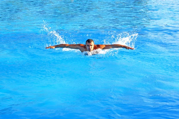 Pływanie ciężko — Zdjęcie stockowe
