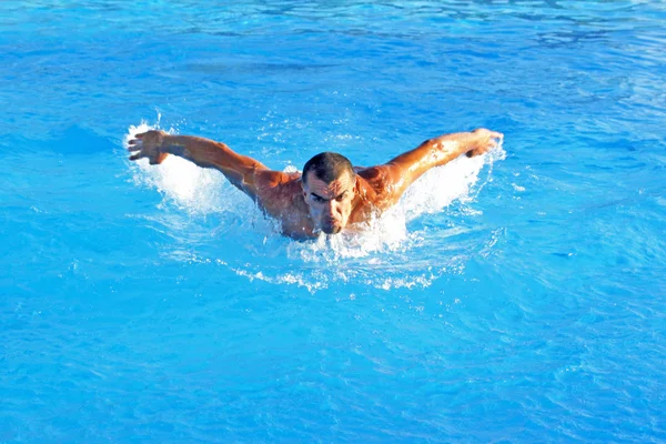 Schwimmer Stockbild
