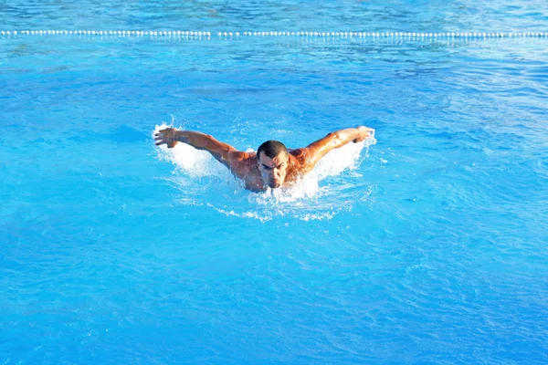 游泳选手 免版税图库图片