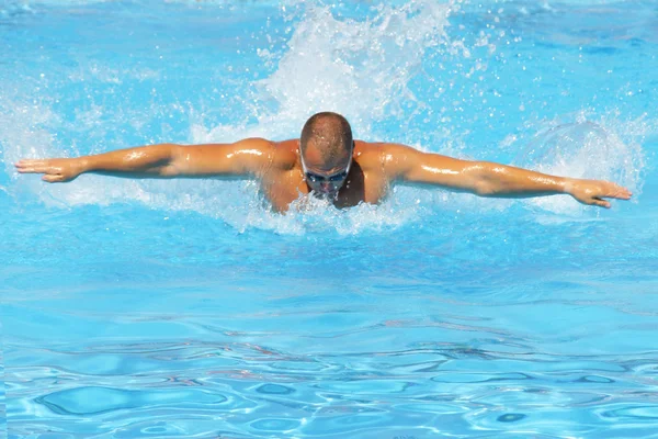 Swimming hard Stock Picture