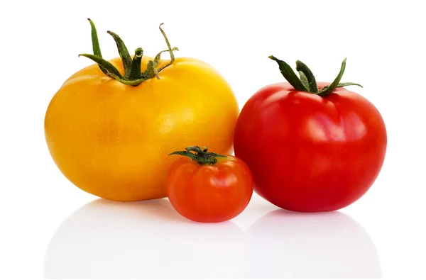 Tre tomater i olika färger Stockbild