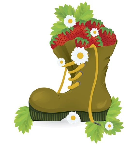 Çilek eski ayakkabı ve papatya çiçekleri — Stok Vektör