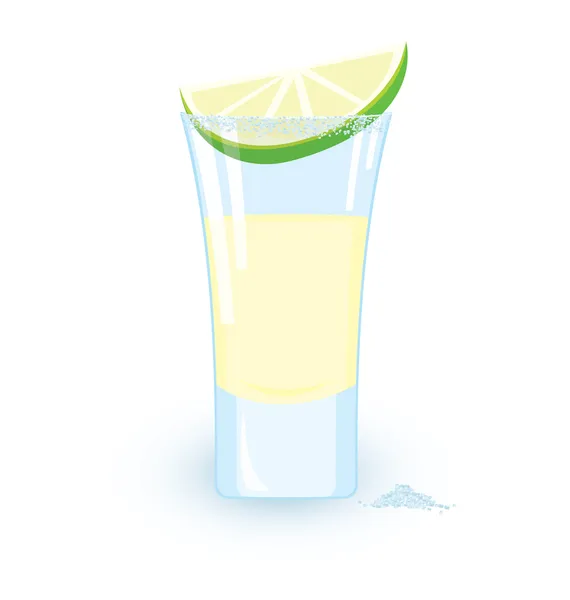 Tequila rodaja de cóctel de lima y un poco de sal — Vector de stock
