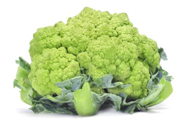 Broccoli clipart