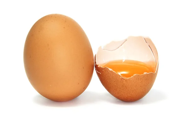 Ägg äggula — Stockfoto