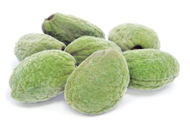 Green almonds clipart