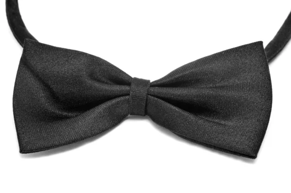Krawat łukowy — Zdjęcie stockowe